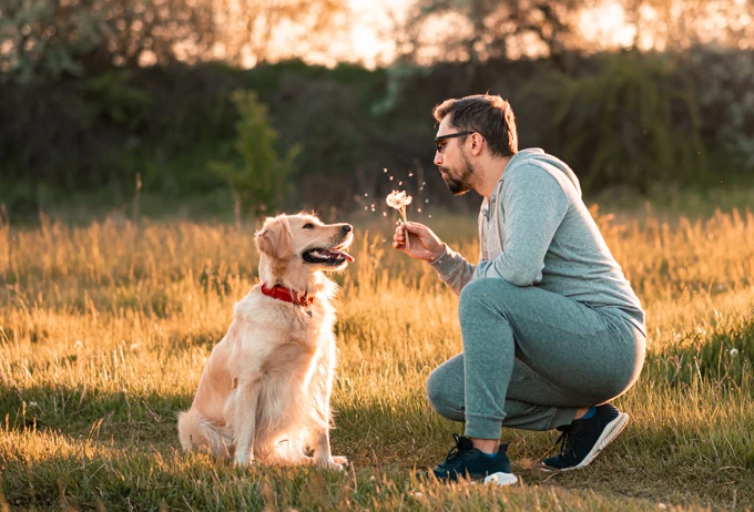 dog bonding